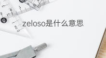 zeloso是什么意思 zeloso的中文翻译、读音、例句