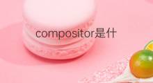 compositor是什么意思 compositor的中文翻译、读音、例句