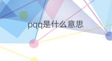 pqq是什么意思 pqq的中文翻译、读音、例句