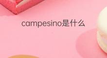 campesino是什么意思 campesino的中文翻译、读音、例句