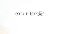 excubitors是什么意思 excubitors的中文翻译、读音、例句