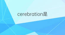 cerebration是什么意思 cerebration的中文翻译、读音、例句
