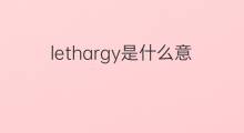 lethargy是什么意思 lethargy的中文翻译、读音、例句