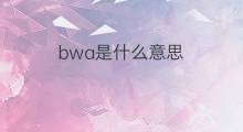 bwa是什么意思 bwa的中文翻译、读音、例句
