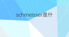 schmeisser是什么意思 schmeisser的中文翻译、读音、例句