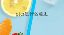 ptcr是什么意思 ptcr的中文翻译、读音、例句