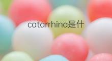 catarrhina是什么意思 catarrhina的中文翻译、读音、例句
