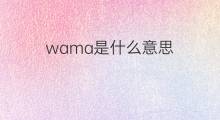 wama是什么意思 wama的中文翻译、读音、例句