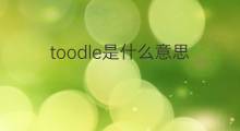 toodle是什么意思 toodle的中文翻译、读音、例句