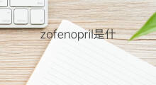 zofenopril是什么意思 zofenopril的中文翻译、读音、例句