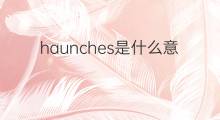 haunches是什么意思 haunches的中文翻译、读音、例句