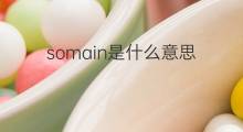 somain是什么意思 somain的中文翻译、读音、例句