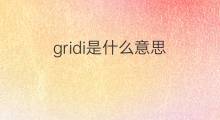 gridi是什么意思 gridi的中文翻译、读音、例句