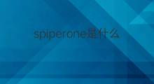 spiperone是什么意思 spiperone的中文翻译、读音、例句