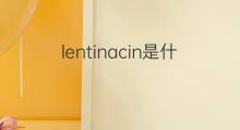lentinacin是什么意思 lentinacin的中文翻译、读音、例句