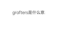 grafters是什么意思 grafters的中文翻译、读音、例句