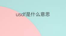 usdf是什么意思 usdf的中文翻译、读音、例句