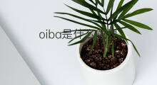 oiba是什么意思 oiba的中文翻译、读音、例句