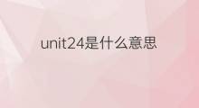 unit24是什么意思 unit24的中文翻译、读音、例句
