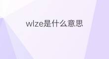 wlze是什么意思 wlze的中文翻译、读音、例句