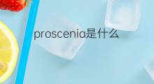 proscenia是什么意思 proscenia的中文翻译、读音、例句