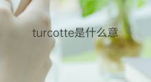 turcotte是什么意思 英文名turcotte的翻译、发音、来源