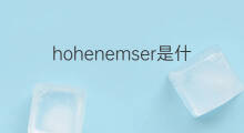 hohenemser是什么意思 hohenemser的中文翻译、读音、例句