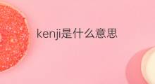 kenji是什么意思 kenji的中文翻译、读音、例句
