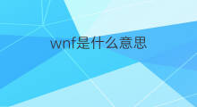 wnf是什么意思 wnf的中文翻译、读音、例句