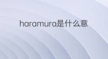 haramura是什么意思 haramura的中文翻译、读音、例句