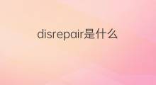 disrepair是什么意思 disrepair的中文翻译、读音、例句