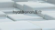 hyaluronan是什么意思 hyaluronan的中文翻译、读音、例句