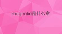 magnolia是什么意思 magnolia的中文翻译、读音、例句