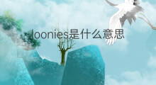 loonies是什么意思 loonies的中文翻译、读音、例句