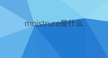 moistrure是什么意思 moistrure的中文翻译、读音、例句