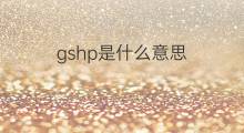 gshp是什么意思 gshp的中文翻译、读音、例句