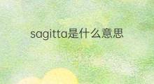sagitta是什么意思 sagitta的中文翻译、读音、例句