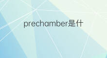 prechamber是什么意思 prechamber的中文翻译、读音、例句