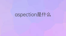 aspection是什么意思 aspection的中文翻译、读音、例句
