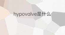 hypovalve是什么意思 hypovalve的中文翻译、读音、例句