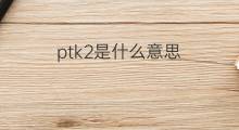 ptk2是什么意思 ptk2的中文翻译、读音、例句