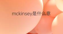 mckinsey是什么意思 mckinsey的中文翻译、读音、例句
