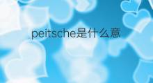peitsche是什么意思 peitsche的中文翻译、读音、例句