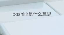 bashkir是什么意思 bashkir的中文翻译、读音、例句