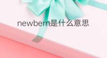 newbern是什么意思 newbern的中文翻译、读音、例句