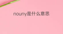 nouny是什么意思 nouny的中文翻译、读音、例句