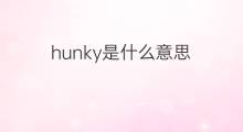 hunky是什么意思 hunky的中文翻译、读音、例句