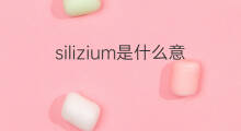 silizium是什么意思 silizium的中文翻译、读音、例句