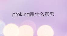 proking是什么意思 proking的中文翻译、读音、例句