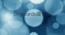 poggiardo是什么意思 poggiardo的中文翻译、读音、例句